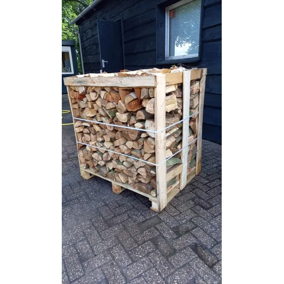 Esche 2 RM · 50 cm — Esche · Lagerbeispiel