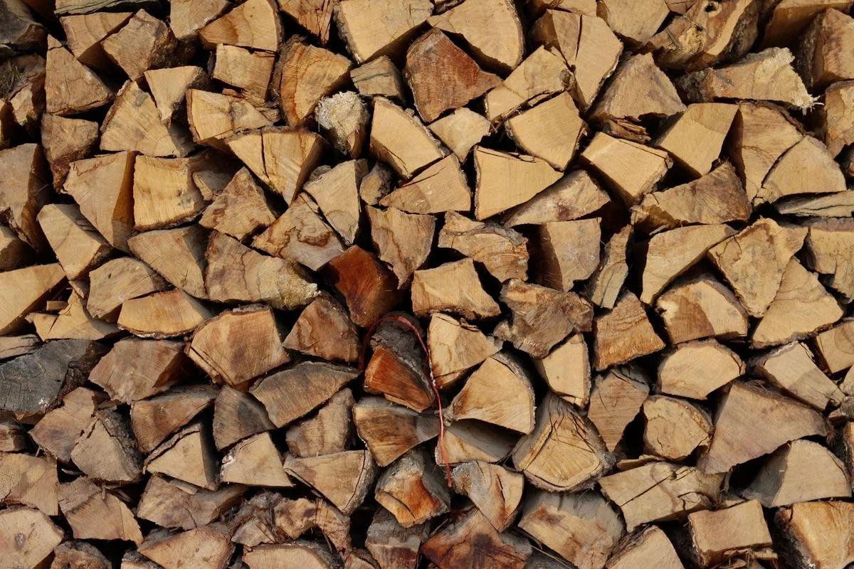 Hainbuche 2 RM — Brennholz aus der Praxis · Beispiel