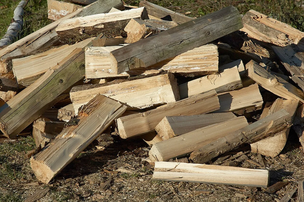 Laubholz-Mix 5 SRM · 50 cm — Frisch gespaltenes Holz · Beispiel